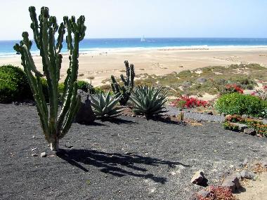 Appartement de vacances /en/au La Pared (Fuerteventura)ou appartement ou maison de vacances