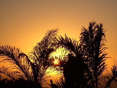 Chambre avec petit d�jeuner �/en/au Jeffreys Bay/Paradise Beach (Eastern Cape)ou appartement ou maison de vacances