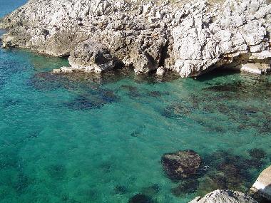 Appartement de vacances �/en/au Dobra Voda (Mont�n�gro)ou appartement ou maison de vacances