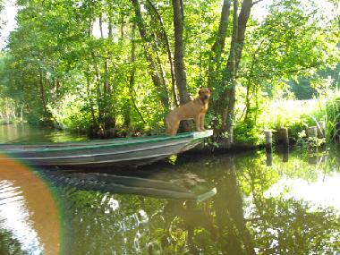 Maison de vacances �/en/au L�bbenau (Oberspreewald-Lausitz)ou appartement ou maison de vacances