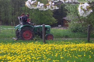 Appartement de vacances /en/au Tann(Rhn) (Rhn)ou appartement ou maison de vacances