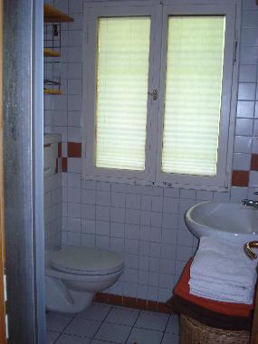 Maison de vacances /en/au Feldberg-Falkau (Schwarzwald)ou appartement ou maison de vacances
