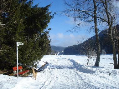 Maison de vacances /en/au Feldberg-Falkau (Schwarzwald)ou appartement ou maison de vacances