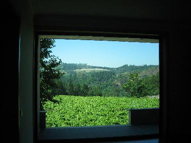 Maison de vacances �/en/au Cabeceiras Basto, Cavez (Norte)ou appartement ou maison de vacances