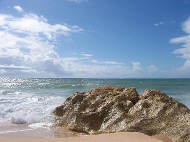 Appartement de vacances /en/au 8200 - Albufeira (Algarve)ou appartement ou maison de vacances