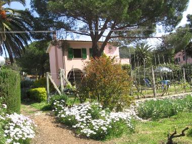 Maison de vacances /en/au Procchio (Livorno)ou appartement ou maison de vacances