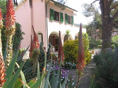 Maison de vacances /en/au Procchio (Livorno)ou appartement ou maison de vacances