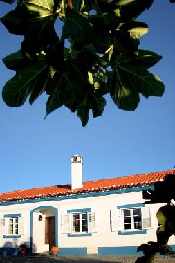 Maison de vacances �/en/au Montemor-o-Novo (Alentejo Central)ou appartement ou maison de vacances