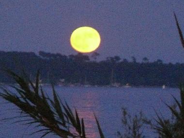 Appartement de vacances �/en/au Cannes (Alpes-Maritimes)ou appartement ou maison de vacances