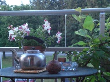Appartement de vacances �/en/au Stockholm (Stockholm)ou appartement ou maison de vacances