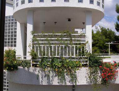 Appartement de vacances �/en/au Vodice (Sibensko-Kninska)ou appartement ou maison de vacances