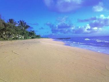 Maison de vacances �/en/au Kapaa (Hawaii)ou appartement ou maison de vacances