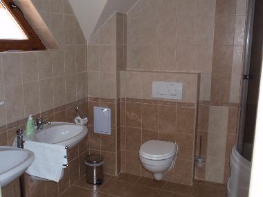 Maison de vacances �/en/au Brasov (Brasov)ou appartement ou maison de vacances