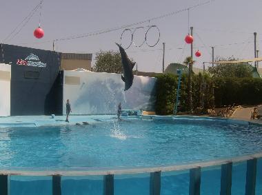 Appartement de vacances �/en/au Armacao de Pera (Algarve)ou appartement ou maison de vacances