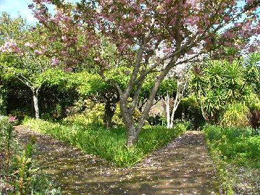 Villa /en/au Viana do Castelo (Norte)ou appartement ou maison de vacances