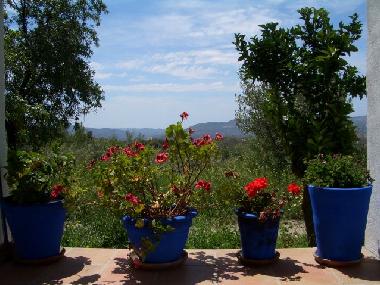 Maison de vacances �/en/au V�lor (Granada)ou appartement ou maison de vacances