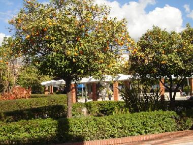 Maison de vacances �/en/au Nerja (M�laga)ou appartement ou maison de vacances