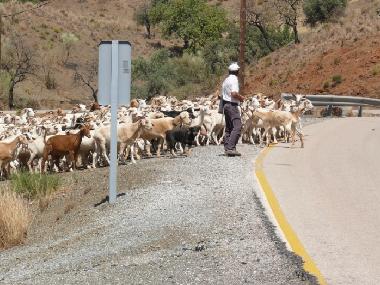 Appartement de vacances /en/au Nerja (Mlaga)ou appartement ou maison de vacances