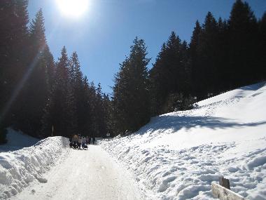 Appartement de vacances �/en/au M�hlbachl (Innsbruck)ou appartement ou maison de vacances