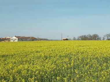 Maison de vacances �/en/au Saint-front (Charente)ou appartement ou maison de vacances