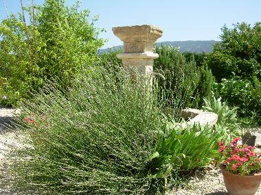 Chambre avec petit d�jeuner �/en/au Coustellet (Vaucluse)ou appartement ou maison de vacances