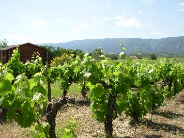 Chambre avec petit d�jeuner �/en/au Coustellet (Vaucluse)ou appartement ou maison de vacances