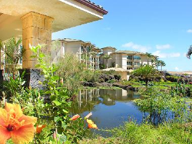 Maison de vacances �/en/au Kapaa (Hawaii)ou appartement ou maison de vacances