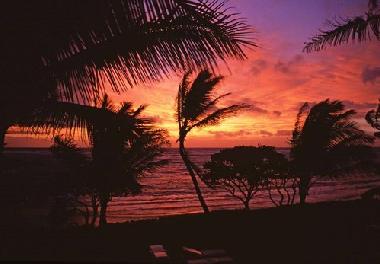 Maison de vacances �/en/au Kapaa (Hawaii)ou appartement ou maison de vacances