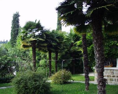 Appartement de vacances �/en/au Portoroz (Piran)ou appartement ou maison de vacances