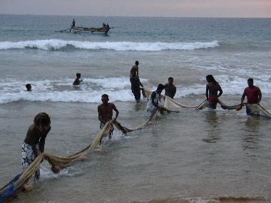 Maison de vacances �/en/au Hikkaduwa (Galle)ou appartement ou maison de vacances