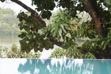 Maison de vacances �/en/au Hikkaduwa (Galle)ou appartement ou maison de vacances