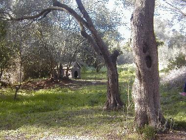 Appartement de vacances /en/au Olbia (Sassari)ou appartement ou maison de vacances