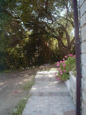 Appartement de vacances /en/au Olbia (Sassari)ou appartement ou maison de vacances