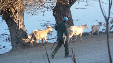 Chambre avec petit d�jeuner �/en/au CASTRIL de la Pena (Granada)ou appartement ou maison de vacances