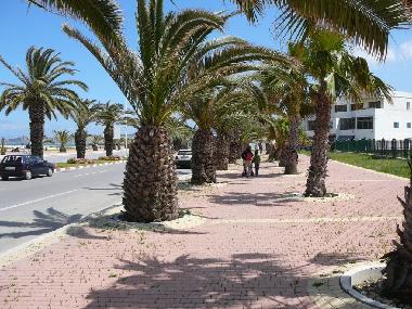 Appartement de vacances �/en/au T�nger (Tanger)ou appartement ou maison de vacances