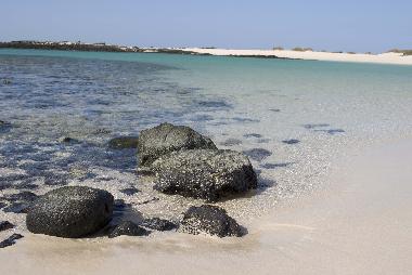 Appartement de vacances �/en/au Corralejo (Fuerteventura)ou appartement ou maison de vacances