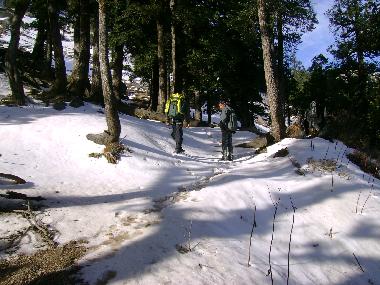 Maison de vacances �/en/au CHAUPAL (Himachal Pradesh)ou appartement ou maison de vacances