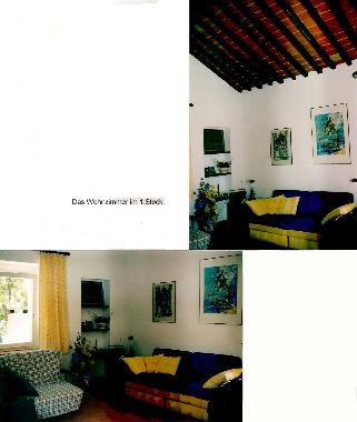 Maison de vacances /en/au S. Andrea (Livorno)ou appartement ou maison de vacances