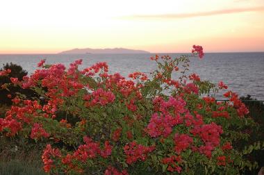 Maison de vacances /en/au S. Andrea (Livorno)ou appartement ou maison de vacances
