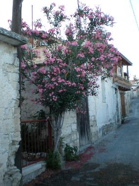 Maison de vacances /en/au Vouni (Limassol)ou appartement ou maison de vacances