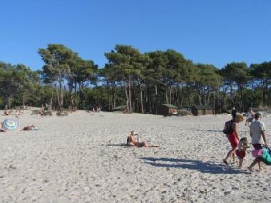 Appartement de vacances /en/au Calvi (Haute-Corse)ou appartement ou maison de vacances