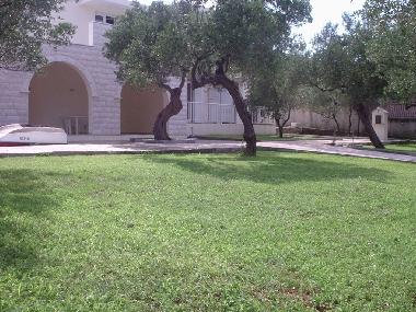 Appartement de vacances /en/au Janjina (Dubrovacko-Neretvanska)ou appartement ou maison de vacances