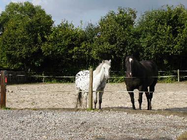 Appartement de vacances �/en/au Hombourg (Wallonia)ou appartement ou maison de vacances