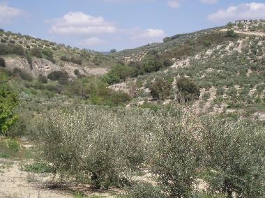 Maison de vacances �/en/au Ribera Baja, Ja�n (Ja�n)ou appartement ou maison de vacances