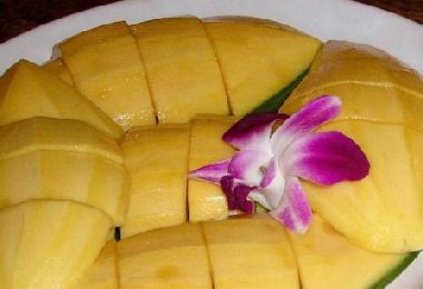Maison de vacances �/en/au Udon Thai (Udon Thani)ou appartement ou maison de vacances