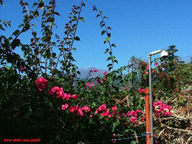 Maison de vacances �/en/au Piedimonte Etneo (Catania)ou appartement ou maison de vacances