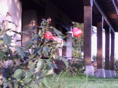 Maison de vacances /en/au CANDELEDA-EL RASO (vila)ou appartement ou maison de vacances