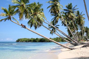 Chalet �/en/au Las Galeras - Saman� (Samana)ou appartement ou maison de vacances
