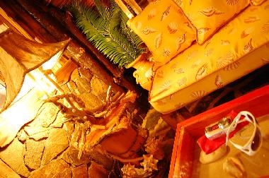 Chalet �/en/au Las Galeras - Saman� (Samana)ou appartement ou maison de vacances