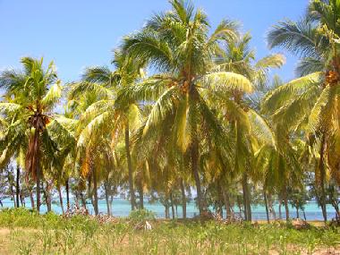 Maison de vacances �/en/au St. Francois (Rodrigues)ou appartement ou maison de vacances